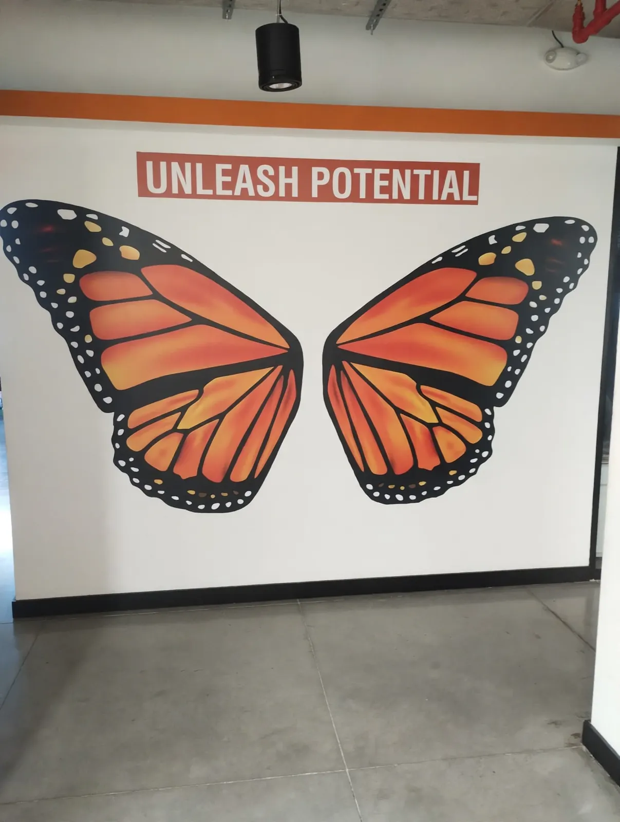 Mural en gran formato con mariposa y mensaje en la pared de una oficina